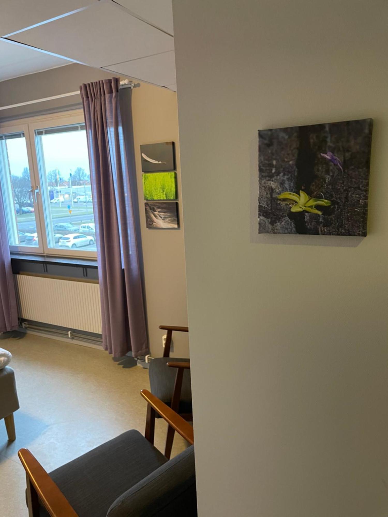 Broholm Bed&Breakfast Lidköping Værelse billede